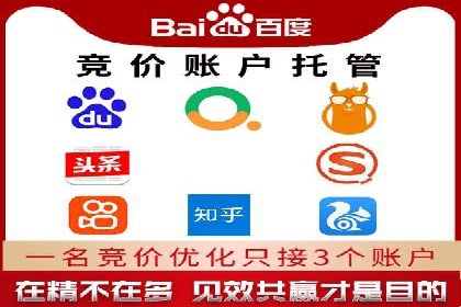 某品牌通过百度广告实现快速增长的案例